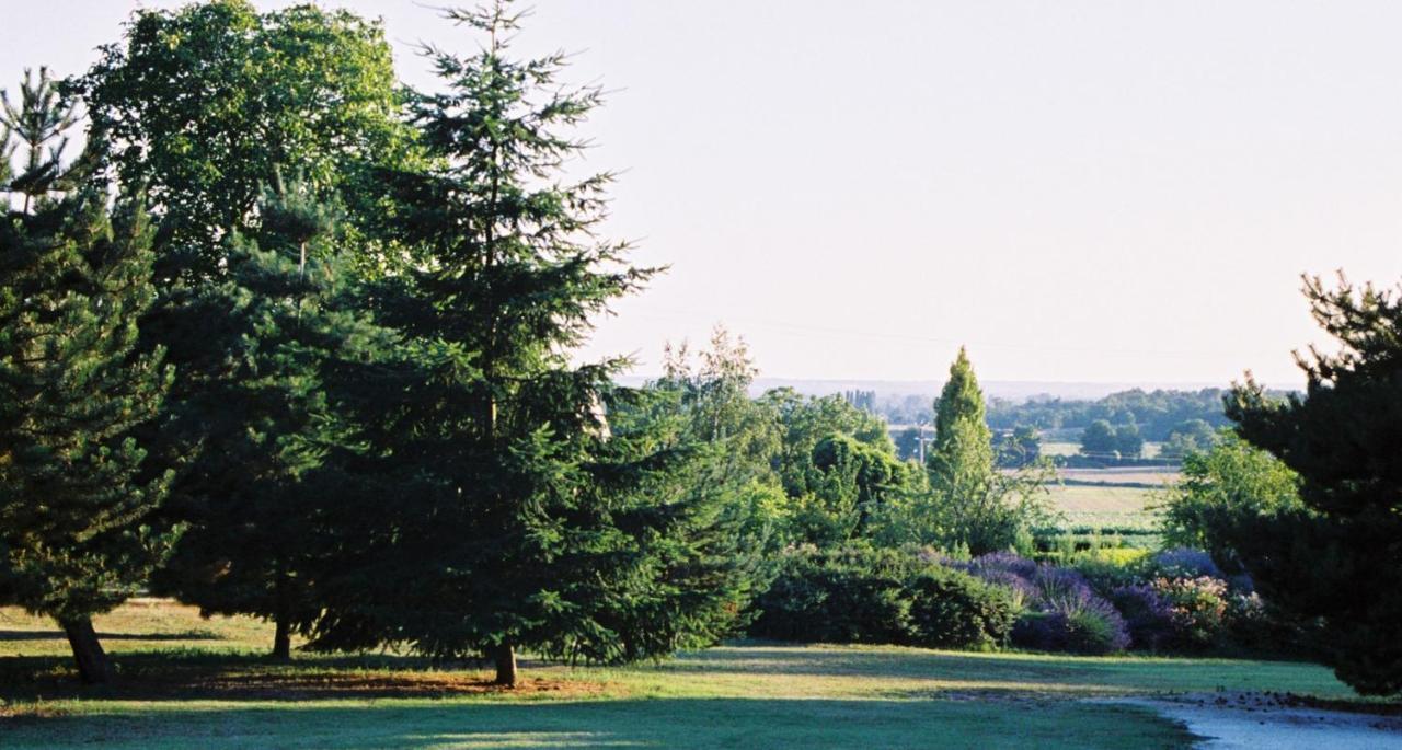 Le Logis Du Pressoir Chambre D'Hotes Bed & Breakfast In Beautiful 18Th Century Estate In The Heart Of The Loire Valley With Heated Pool And Extensive Grounds Bed & Breakfast Les Bois-d'Anjou Eksteriør bilde