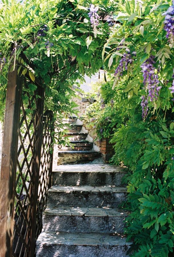 Le Logis Du Pressoir Chambre D'Hotes Bed & Breakfast In Beautiful 18Th Century Estate In The Heart Of The Loire Valley With Heated Pool And Extensive Grounds Bed & Breakfast Les Bois-d'Anjou Eksteriør bilde